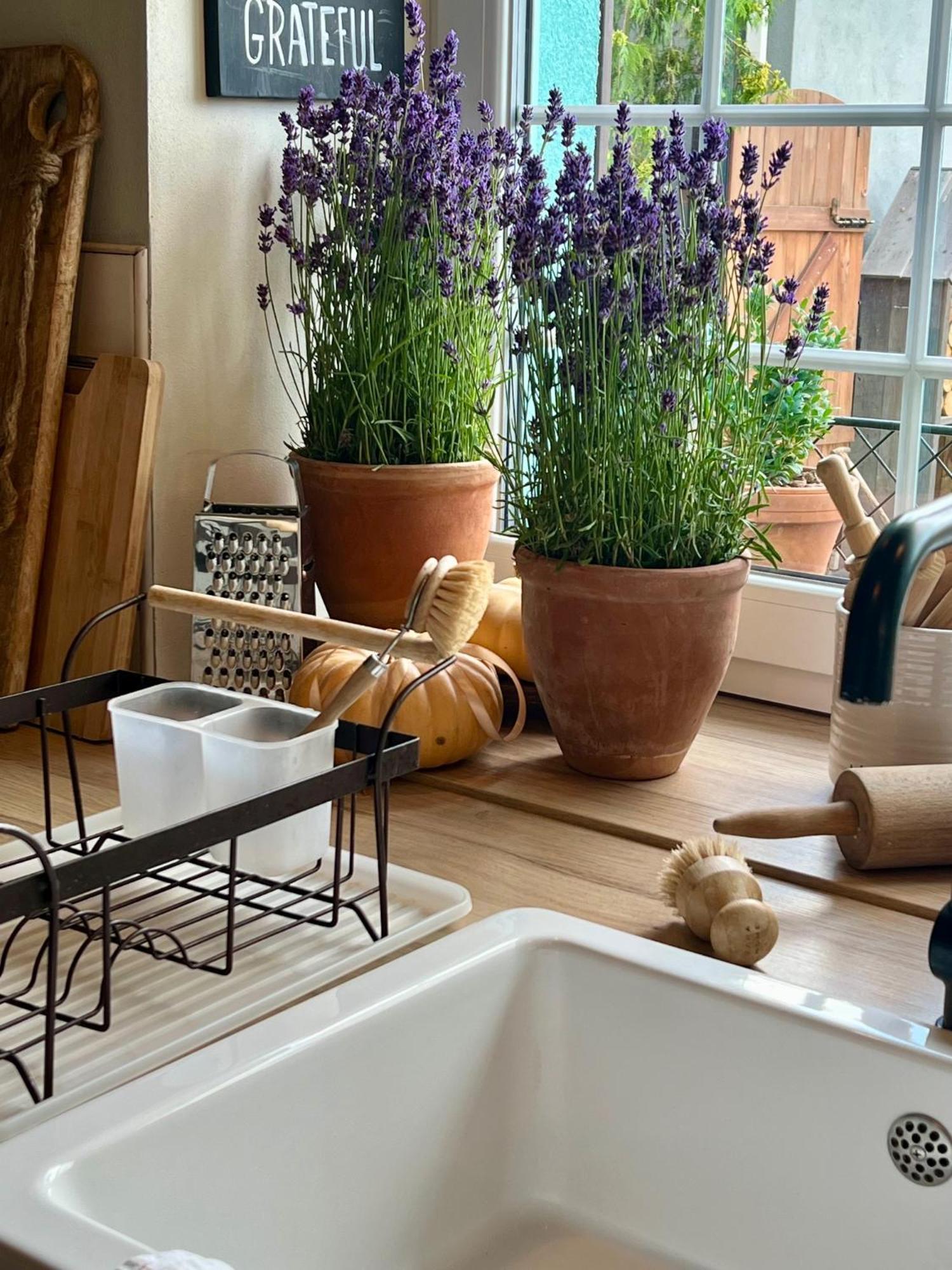 Orchardhouse Farmhouse, Wellness Chrast  Eksteriør billede
