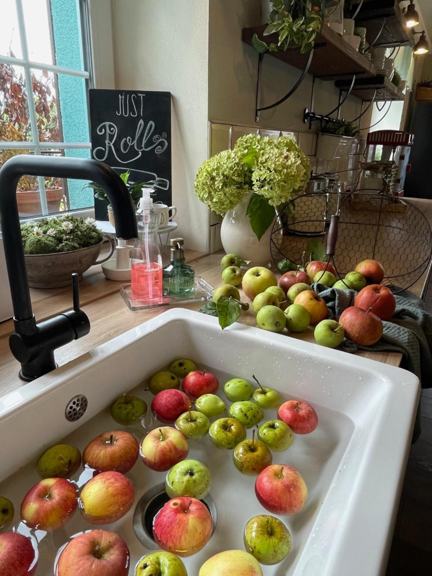 Orchardhouse Farmhouse, Wellness Chrast  Eksteriør billede