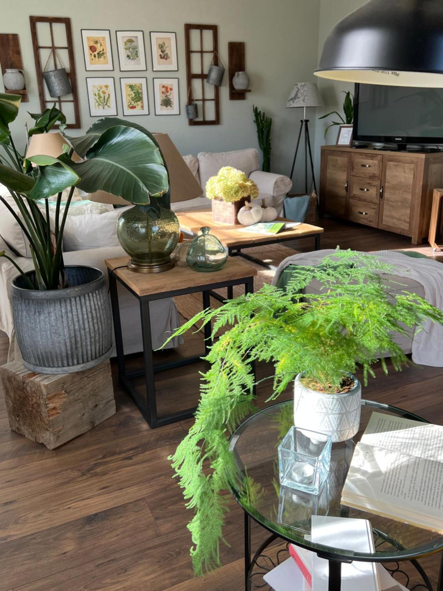 Orchardhouse Farmhouse, Wellness Chrast  Eksteriør billede